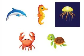 design-skills-sea-animal-illustration